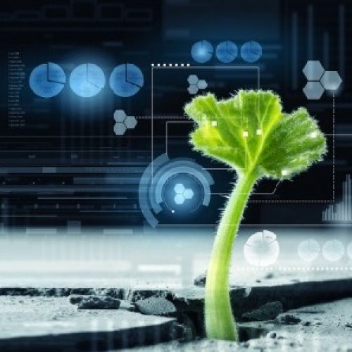 Sustainable and Integrated Solutions to Solve Challenges Across the Agriculture and Forestry Value Chains