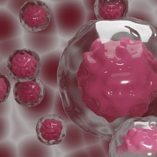 New arthritis drug using exosomes extracted from stem cells