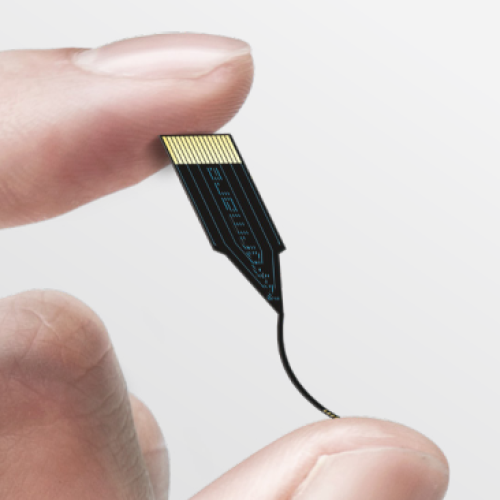 Tool to record and stimulate neuron activities
