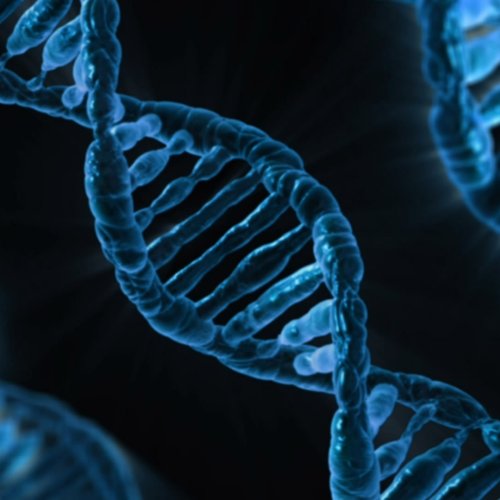 NGS-based genetic testing for rare genetic diseases