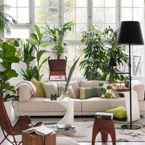 Removal Of CO2 In Indoor Living Spaces