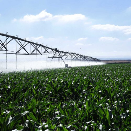 Medium water content measurement device for smart farm